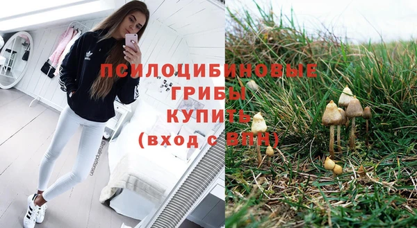 2c-b Гусь-Хрустальный