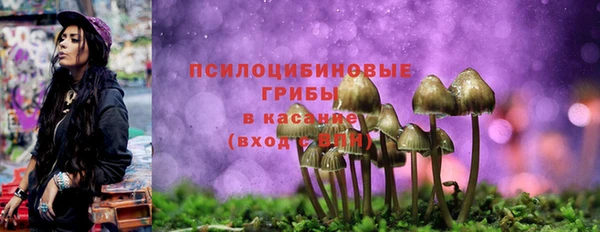 2c-b Гусь-Хрустальный