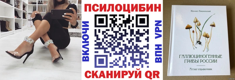Псилоцибиновые грибы MAGIC MUSHROOMS  Купить закладки  Красноармейск 